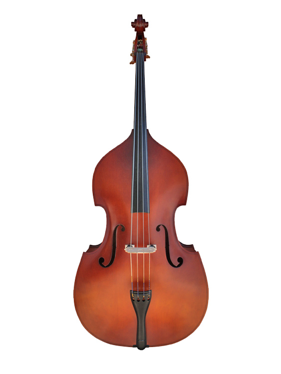 The bass violin deals shop